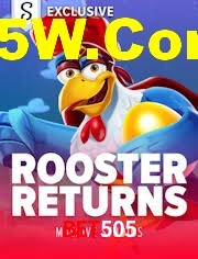 Football Betting Bet505